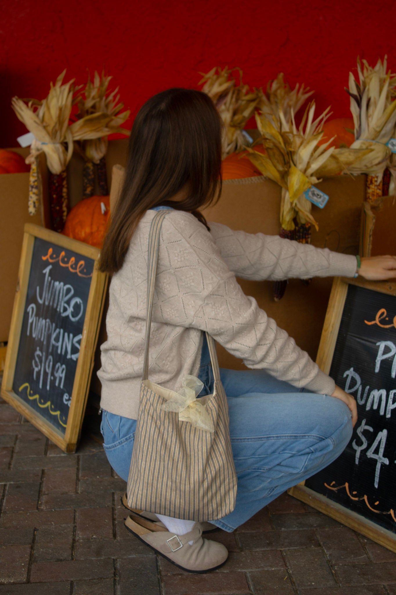 Pin stripe Crossover Bag